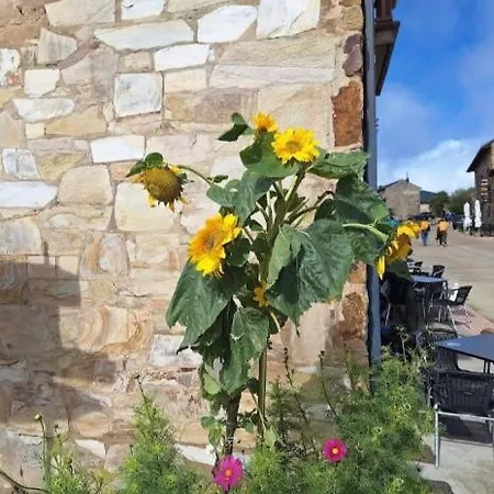 Monte Irago * Foncebadon